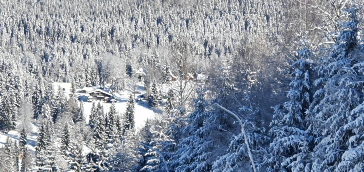 Pension Vinkl Гаррахов Экстерьер фото